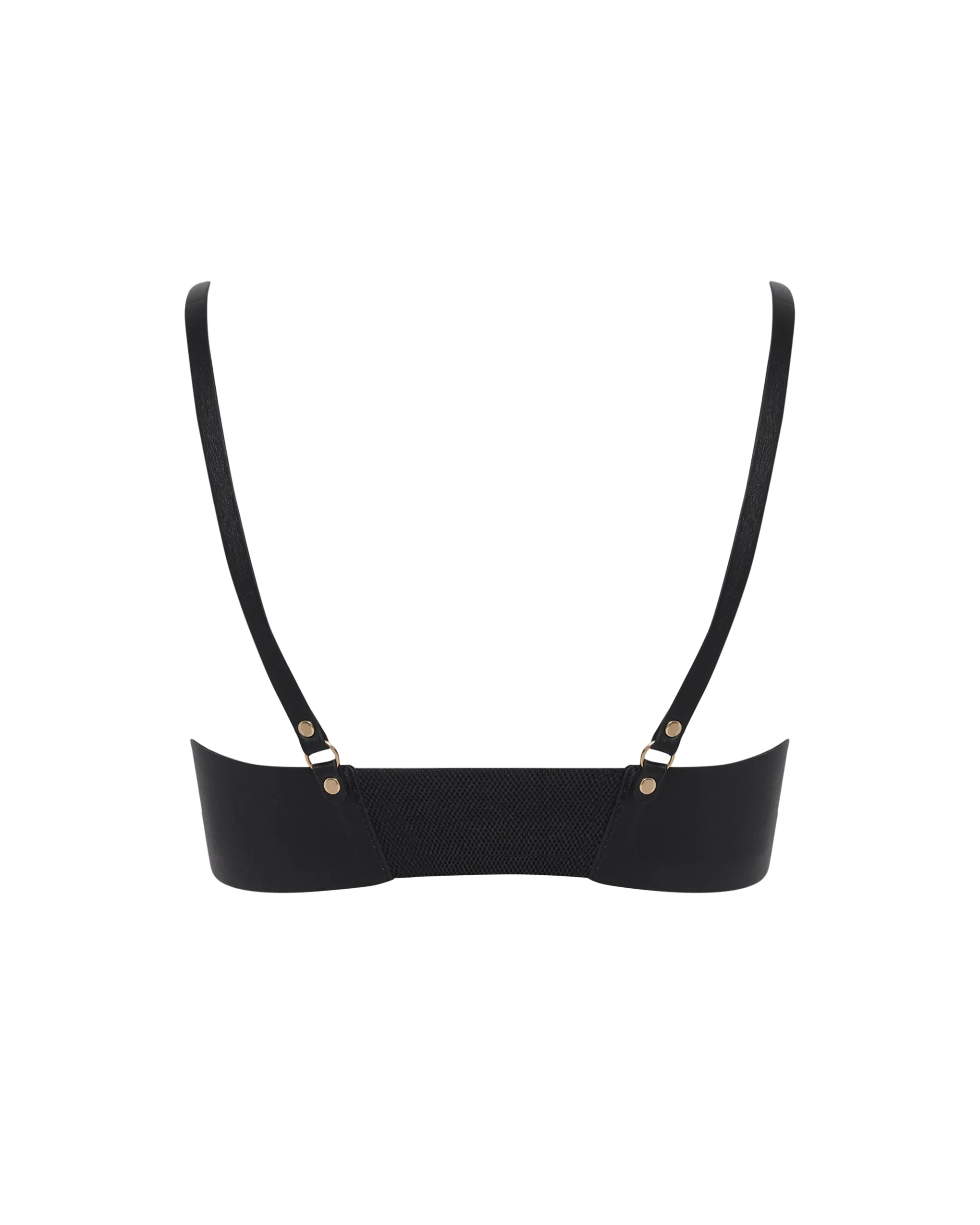 Lotus Shoulder Harness Black